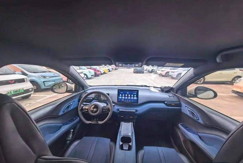 BYD Seagull