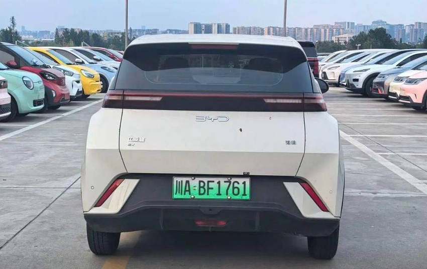 BYD Seagull